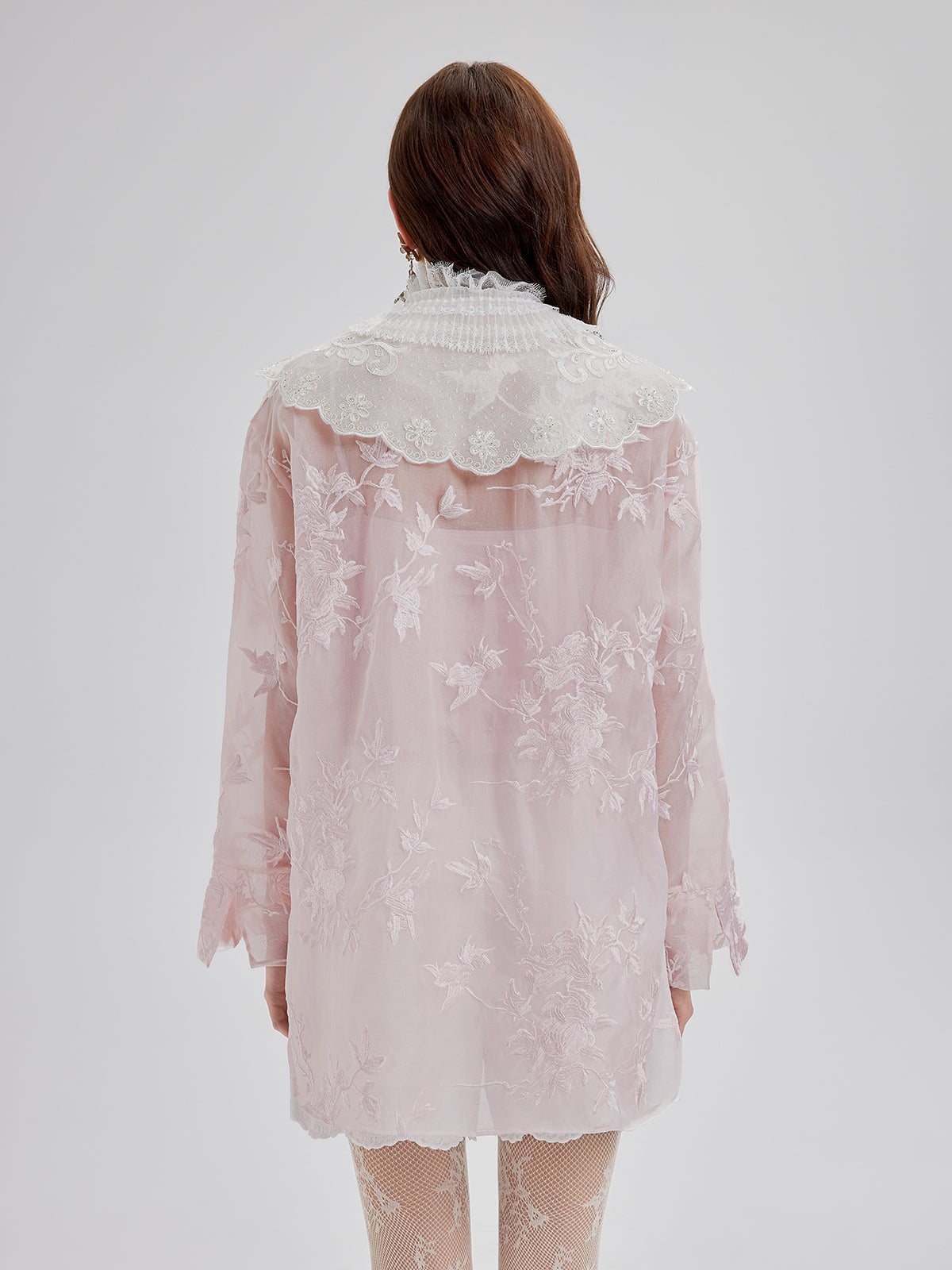 Embroidered Organza Sheer Blouse