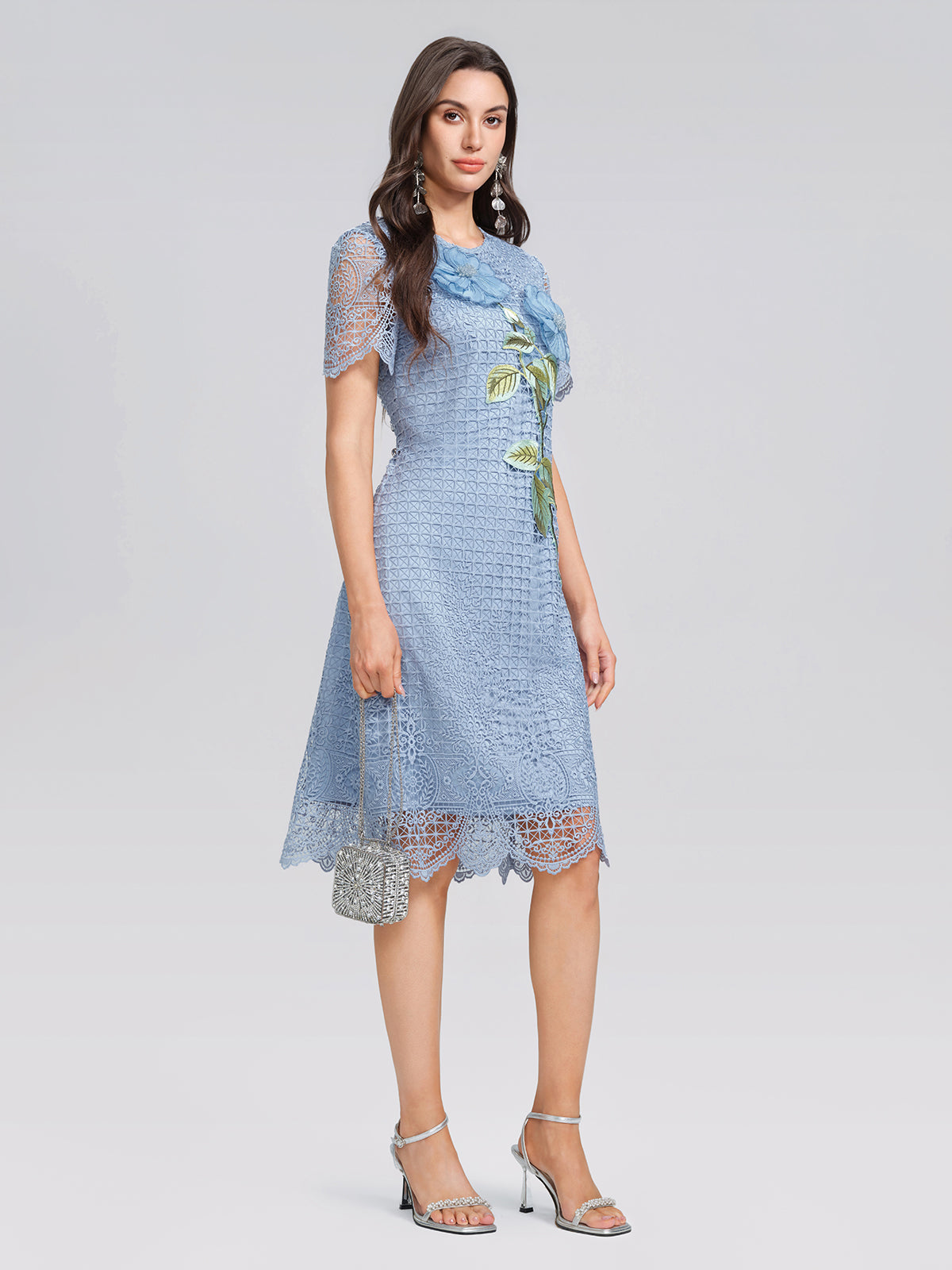 Eyelet Guipure Lace Rose Applique Dress