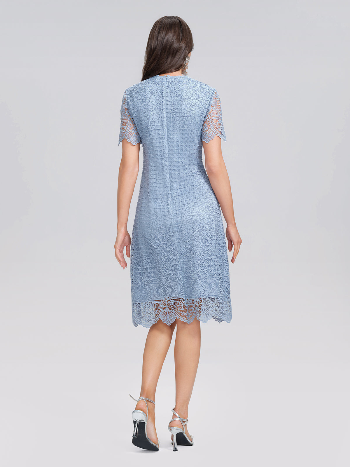 Eyelet Guipure Lace Rose Applique Dress