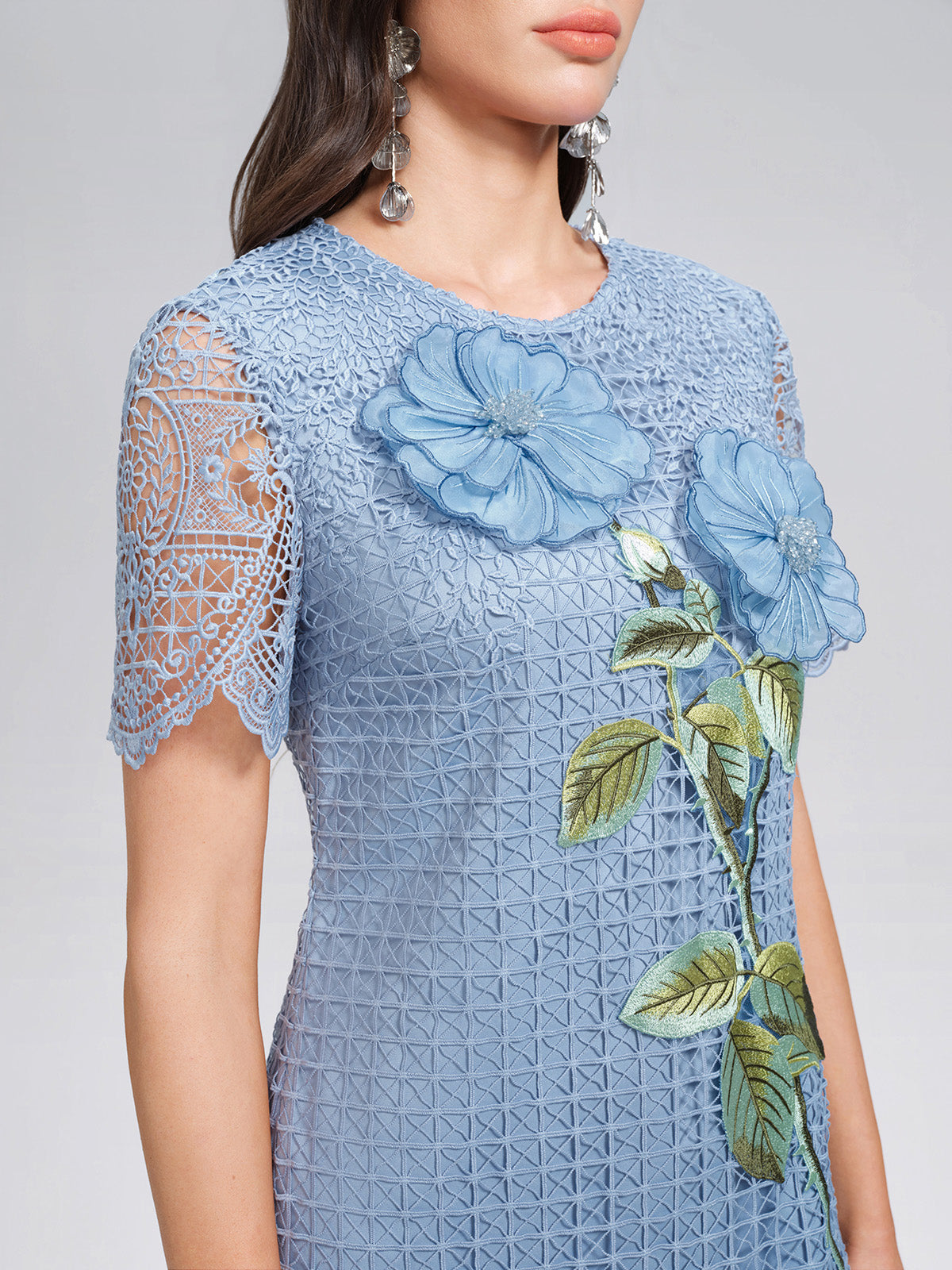 Eyelet Guipure Lace Rose Applique Dress