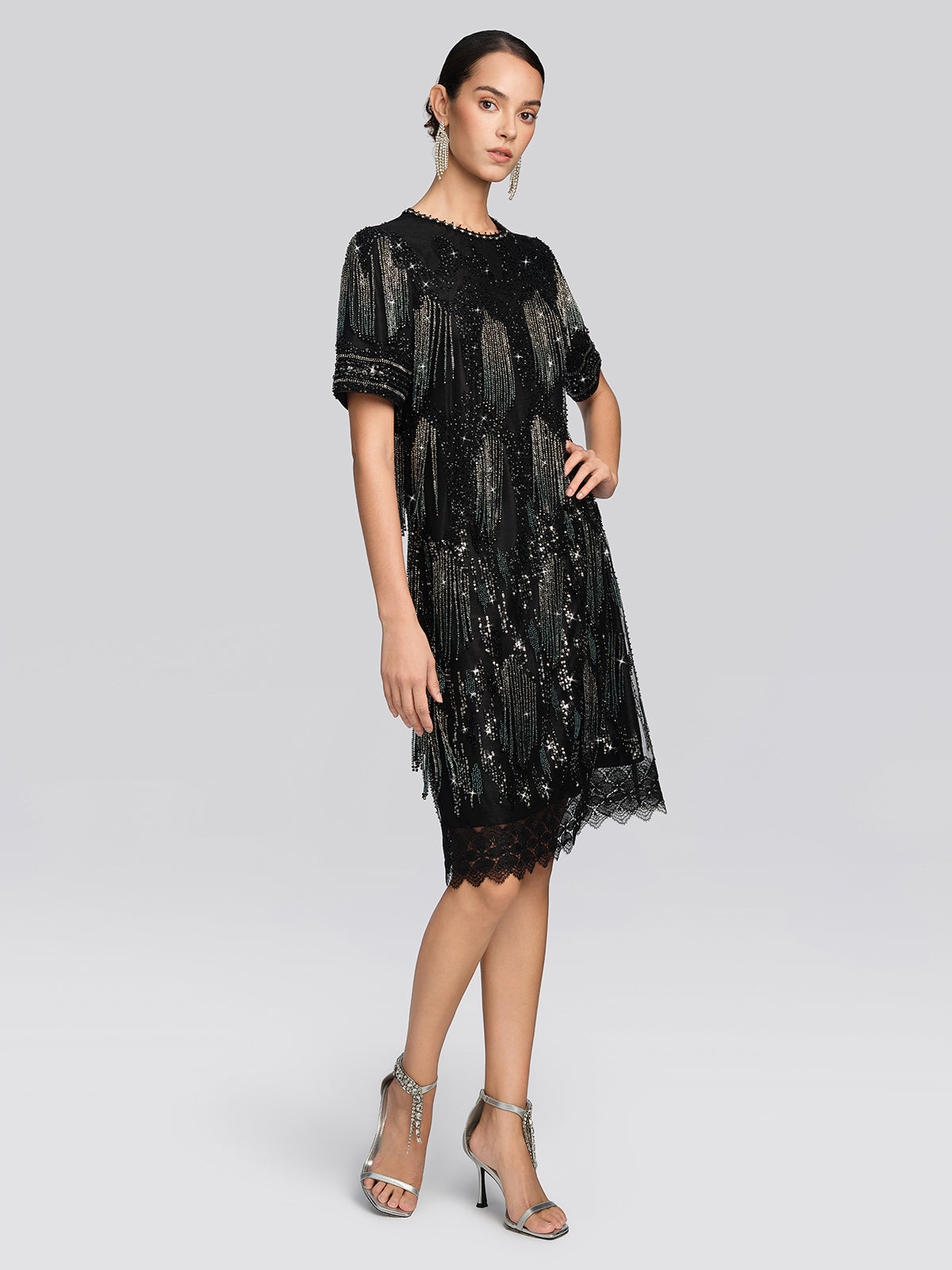 Fringe Beaded Embroidered Mesh Dress
