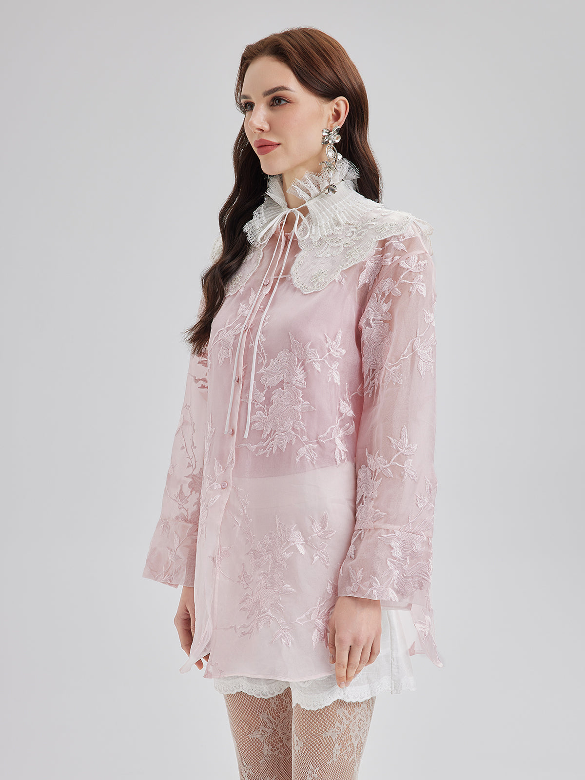 Embroidered Organza Sheer Blouse