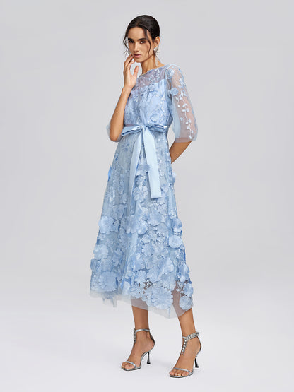 3D Floral Embroidered Mesh X-Waist Dress