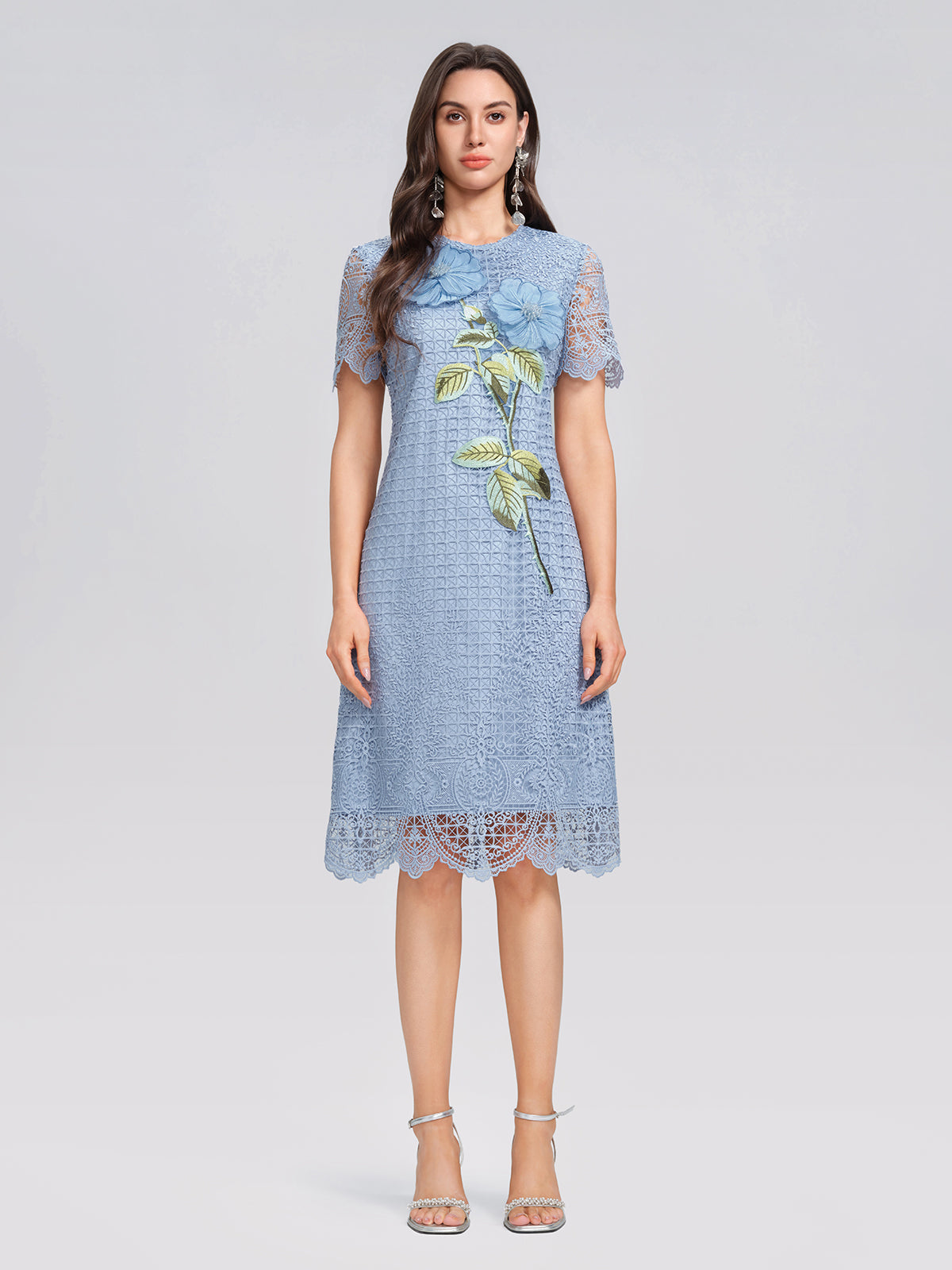 Eyelet Guipure Lace Rose Applique Dress